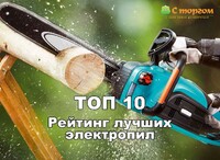 ТОП 10 - Лучшие электропилы 2019 года