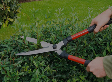 Как выбрать садовые ножницы