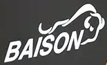 Логотип Baison Україна
