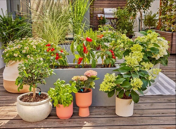 Комплект полива Gardena Micro-Drip-System Terrace Set на 30 растений (13400-20.000.00) изображение 8