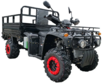 Квадроцикл вантажний Forte ATV-250BS-T (чорний) (135670)