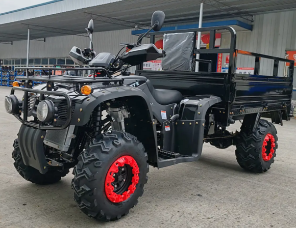 Квадроцикл вантажний Forte ATV-250BS-T (чорний) (135670) фото 2