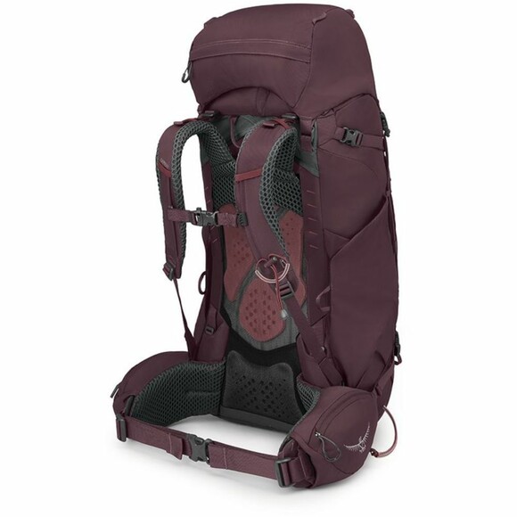 Туристический рюкзак Osprey Kyte 58 elderberry purple WXS/S (009.3323) изображение 3