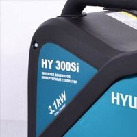 Особенности Hyundai HY 300 Si 1