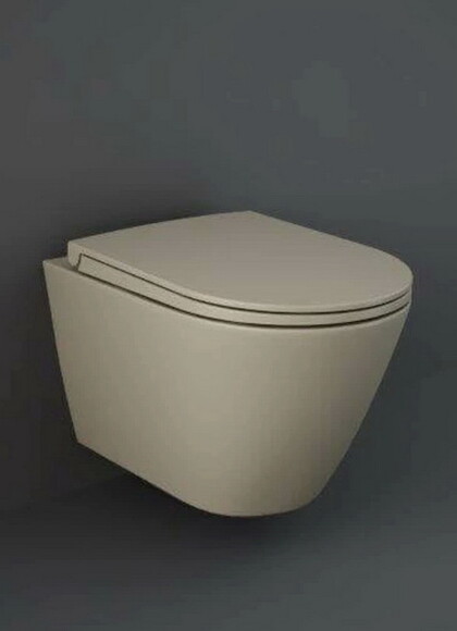 Сидіння і кришка для унітазу RAK Ceramics Feeling Sanitaryware (RSTSC3901514) фото 2