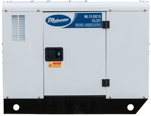Генератор дизельний Malcomson ML12 DE1S фото 3