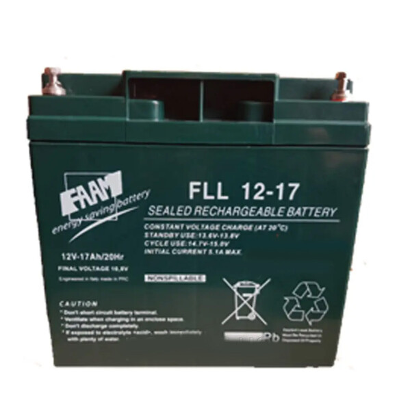 Аккумуляторная батарея FAAM FLL 12-18