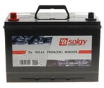 Аккумулятор Solgy 6 CT-100-L (406029)