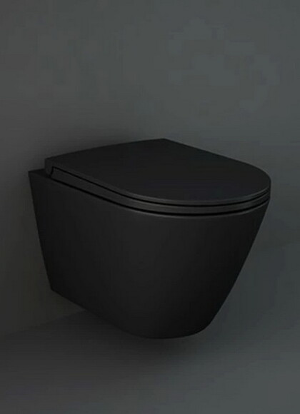 Сидение и крышка для унитаза RAK Ceramics Feeling Sanitaryware (RSTSC3901504) изображение 2