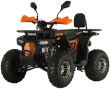 Квадроцикл Forte ATV125P (black-orange) (129954)