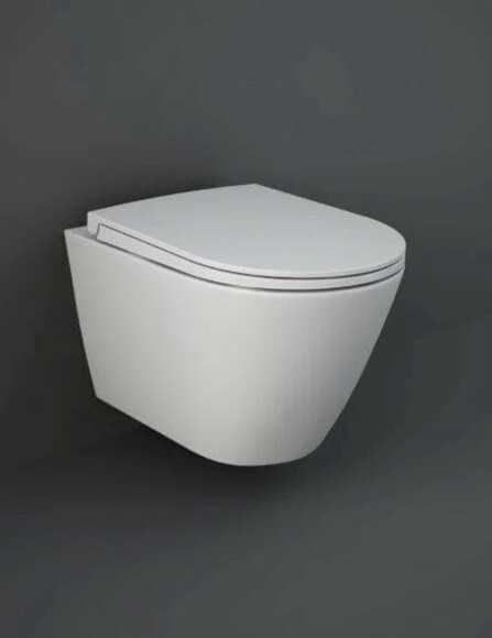 Сидіння і кришка для унітазу RAK Ceramics Feeling Sanitaryware (RSTSC3901500) фото 2