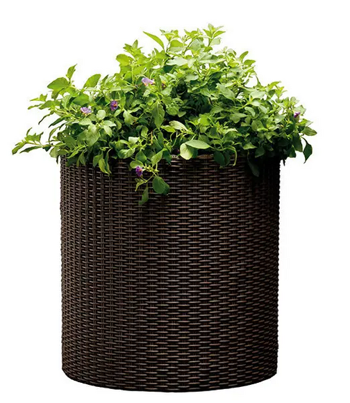 Горщик для квітів Keter Cylinder Planter M, коричневий (7290103664190)