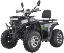 Квадроцикл Forte ATV200G PRO (зелено-серый) (133188)