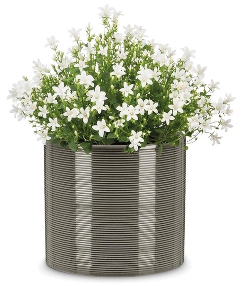 Кашпо для квітів Scheurich Inspiration 17х19 см, сіре, керамічне (4002477590462) фото 2
