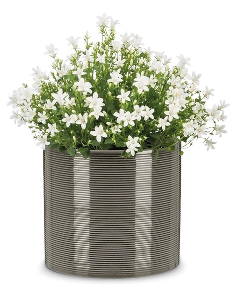 Кашпо для квітів Scheurich Inspiration 27х28 см, сіре, керамічне (4002477590752) фото 2