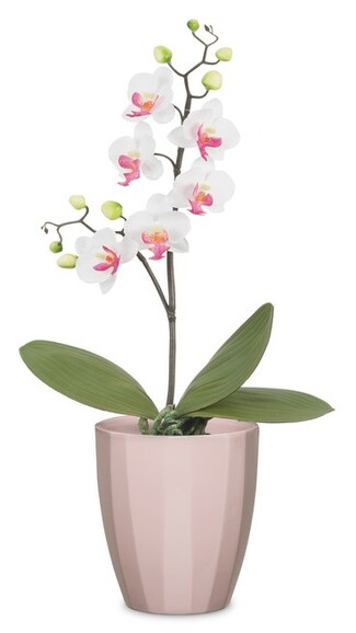 Кашпо для орхидей Scheurich Elegance 14.1х12.7 см, нежно-рожевое (4002477623153) изображение 2