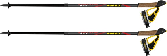 Палки для скандинавской ходьбы Vipole Vario Red DLX (S20 30) (929892)