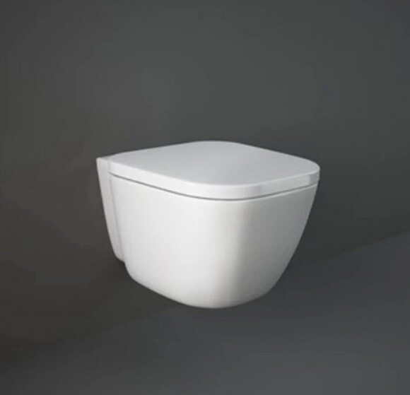 Сидение и крышка для унитаза RAK Ceramics One (ONSC00004/N) изображение 2