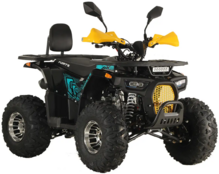 Квадроцикл Forte ATV125P (blue-yellow) (129953)