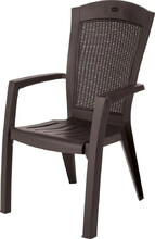 Садове крісло Keter Minnesota (209239)