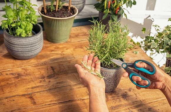 Ножницы для трав и цветов Gardena HerbCut с кобурой (12214-36.000.00) изображение 4