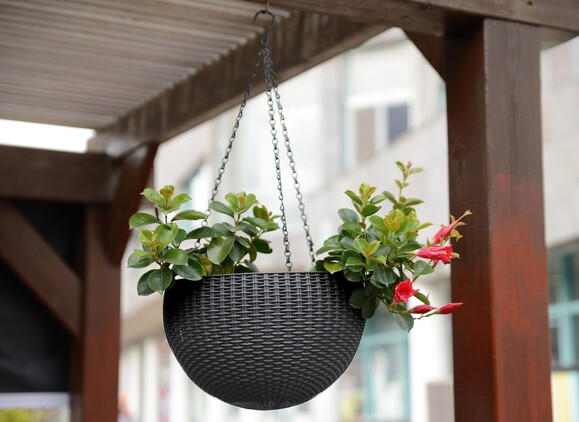 Горшок для растений Keter Rattan hanging sphere, антрацит, 8.6 л (7290106924499) изображение 7