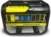 Бензиновий генератор FIRMAN FPG3800