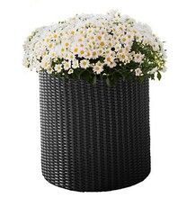 Горщик для квітів Keter Cylinder Planter S, сірий (7290103668204)