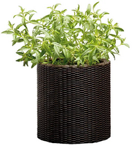 Горщик для квітів Keter Cylinder Planter S, коричневий (7290103664183)