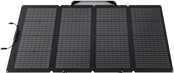 Набір EcoFlow Delta Max 1600 (1612 Вт·год / 2000 Вт) + 220W Solar Panel фото 8