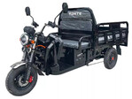 Грузовой электрический трицикл FORTE JH-1200, черный (131996)