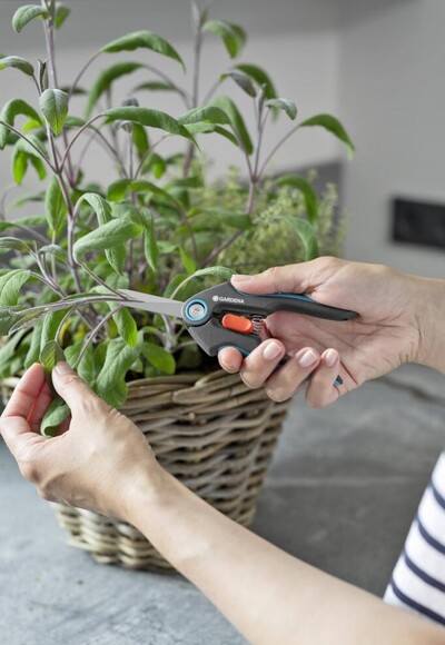 Секатор-ножиці для трав та квітів Gardena FreshCut Set (12212-36.000.00) фото 4