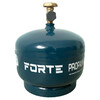 Forte (124417)