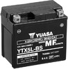 Yuasa (YTX5L-BS)