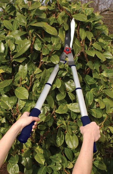 Телескопические садовые ножницы Spear&Jackson Razorharp Advantage (8120RS) изображение 3