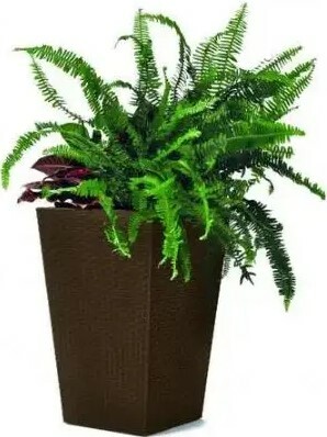 

Горшок для цветов Keter Rattan Planter M 55 4L, коричневый (228975)