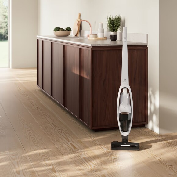 Пилосос Electrolux ES52HB25SH фото 9