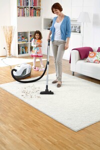 Пылесос с аквафильтром Karcher DS 6 Premium Plus (1.195-242.0) изображение 9