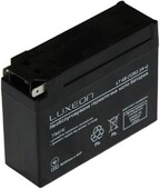 Аккумуляторная батарея Luxeon LT4B