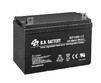 Акумуляторна батарея BB Battery BP100-12/I2