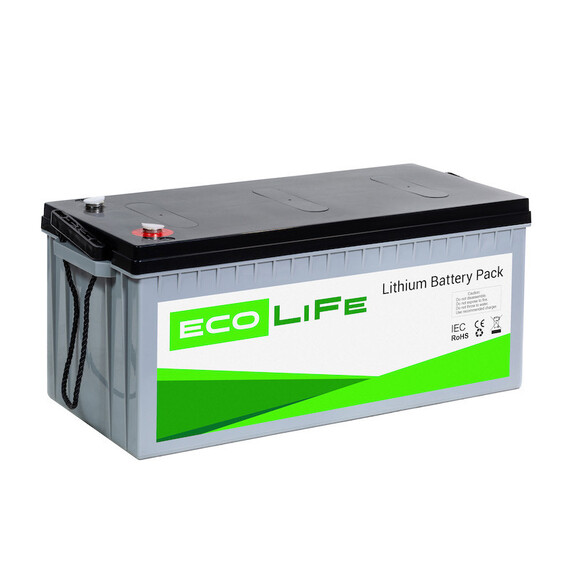 Акумулятор LiFe EcoLiFe 24-200P