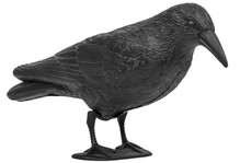 Відлякувач птахів Bradas (ворон) (CTRL-BR101)