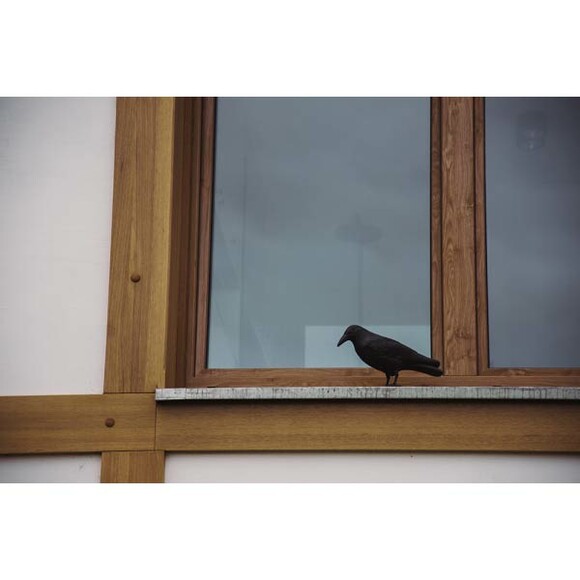 Відлякувач птахів Bradas (ворон) (CTRL-BR101) фото 4