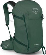 Рюкзак Osprey Skarab 30 O/S Tundra green (009.3380)