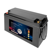 Аккумулятор для ИБП LogicPower LiFePO4 24V-100 Ah BMS 150A/75А (LP19444)