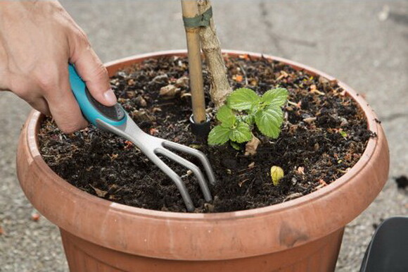 Набор для балконного садоводства GARDENA (в ящике) (08971-20.000.00) изображение 8