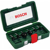 Bosch (2607019463)