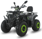 Квадроцикл Forte ATV200G (зелено-сірий) (133190)