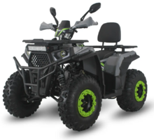 Квадроцикл Forte ATV200G (зелено-серый) (133190)