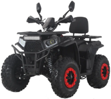 Квадроцикл Forte ATV200G (красно-черный) (133191)